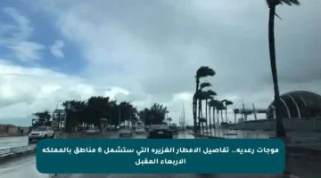 موجات رعدية.. تفاصيل الأمطار الغزيرة التي ستشمل 6 مناطق بالمملكة الأربعاء المقبل